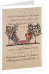 Making Lead, page from an Arabic edition of the treaty of Dioscorides, 'De Materia Medica', 1222 by Islamic School