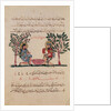 Making Lead, page from an Arabic edition of the treaty of Dioscorides, 'De Materia Medica', 1222 by Islamic School