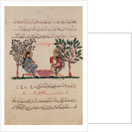 Making Lead, page from an Arabic edition of the treaty of Dioscorides, 'De Materia Medica', 1222 by Islamic School