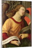 Angel by Raphael (1483-1520)