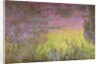 Waterlilies at Sunset, 1915-26 by Claude Monet