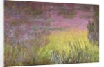 Waterlilies at Sunset, 1915-26 by Claude Monet