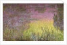 Waterlilies at Sunset, 1915-26 by Claude Monet