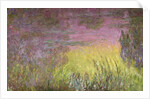 Waterlilies at Sunset, 1915-26 by Claude Monet
