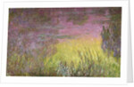 Waterlilies at Sunset, 1915-26 by Claude Monet