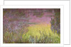 Waterlilies at Sunset, 1915-26 by Claude Monet