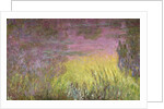 Waterlilies at Sunset, 1915-26 by Claude Monet