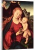 Madonna and Child by Lucas the Elder Cranach