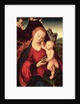 Madonna and Child by Lucas the Elder Cranach