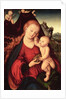 Madonna and Child by Lucas the Elder Cranach