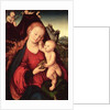 Madonna and Child by Lucas the Elder Cranach