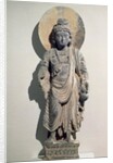 Standing Bodhisattva Maitreya, 3rd century by School Pakistani