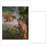 Perseus Rescuing Andromeda by Veronese