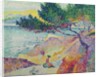 Saint Clair Beach, 1906-07 by Henri-Edmond Cross