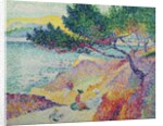 Saint Clair Beach, 1906-07 by Henri-Edmond Cross