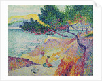 Saint Clair Beach, 1906-07 by Henri-Edmond Cross