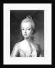 Portrait of Marie-Antoinette of Habsbourg-Lorraine, c.1771 by Austrian School