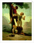 Boys Climbing a Tree, cartoon for a tapestry, 1790-92 by Francisco Jose de Goya y Lucientes