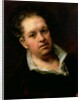 Self Portrait, 1815 by Francisco Jose de Goya y Lucientes