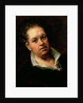 Self Portrait, 1815 by Francisco Jose de Goya y Lucientes