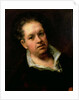 Self Portrait, 1815 by Francisco Jose de Goya y Lucientes