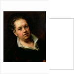 Self Portrait, 1815 by Francisco Jose de Goya y Lucientes