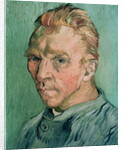 Self-portrait without beard, 1889 by Vincent van Gogh
