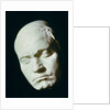 Mask of Beethoven, taken from life at the age of 42, 1812 by Franz Klein
