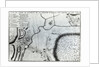 Field Plan for the Battle of Arques by French School