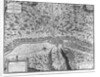 Lutetia or the first plan of Paris, taken from Caesar, Strabo, Emperor Julian and Ammianus Marcellinus by French School