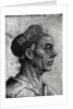 Jacob II Fugger Count of the Empire by French School