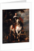Equestrian Portrait of Don Francisco de Moncada by Anthony van Dyck