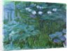 Waterlilies, 1914-17 by Claude Monet