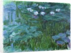 Waterlilies, 1914-17 by Claude Monet