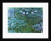 Waterlilies, 1914-17 by Claude Monet