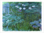 Waterlilies, 1914-17 by Claude Monet