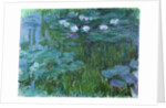 Waterlilies, 1914-17 by Claude Monet