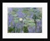 Waterlilies, 1915 by Claude Monet
