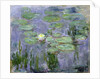 Waterlilies, 1915 by Claude Monet