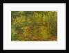 The Japanese Bridge, 1918 by Claude Monet