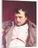 Napoleon after his Abdication by Hippolyte Delaroche