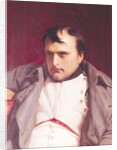 Napoleon after his Abdication by Hippolyte Delaroche