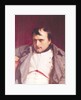 Napoleon after his Abdication by Hippolyte Delaroche
