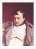 Napoleon after his Abdication by Hippolyte Delaroche