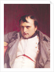 Napoleon after his Abdication by Hippolyte Delaroche
