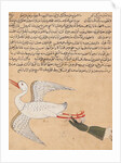 Merchant from Isfahan Flying by Islamic School