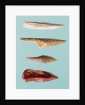 Four Flint Tools, Upper Paleolithic Period, 35000-10000 BC by Prehistoric Prehistoric