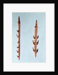Two Harpoons, Upper Paleolithic Period, 35000-10000 BC by Prehistoric Prehistoric