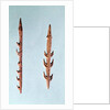 Two Harpoons, Upper Paleolithic Period, 35000-10000 BC by Prehistoric Prehistoric