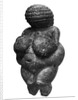 The Venus of Willendorf, side view of female figurine, Gravettian culture, Upper Paleolithic Period, c.30000-18000 BC by Prehistoric Prehistoric